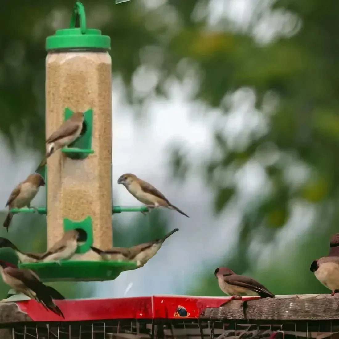 TweetTreate™️ Bird feeder